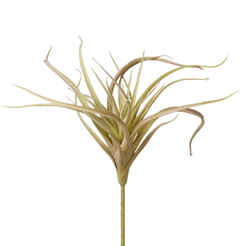 9" Green/Red Airplant