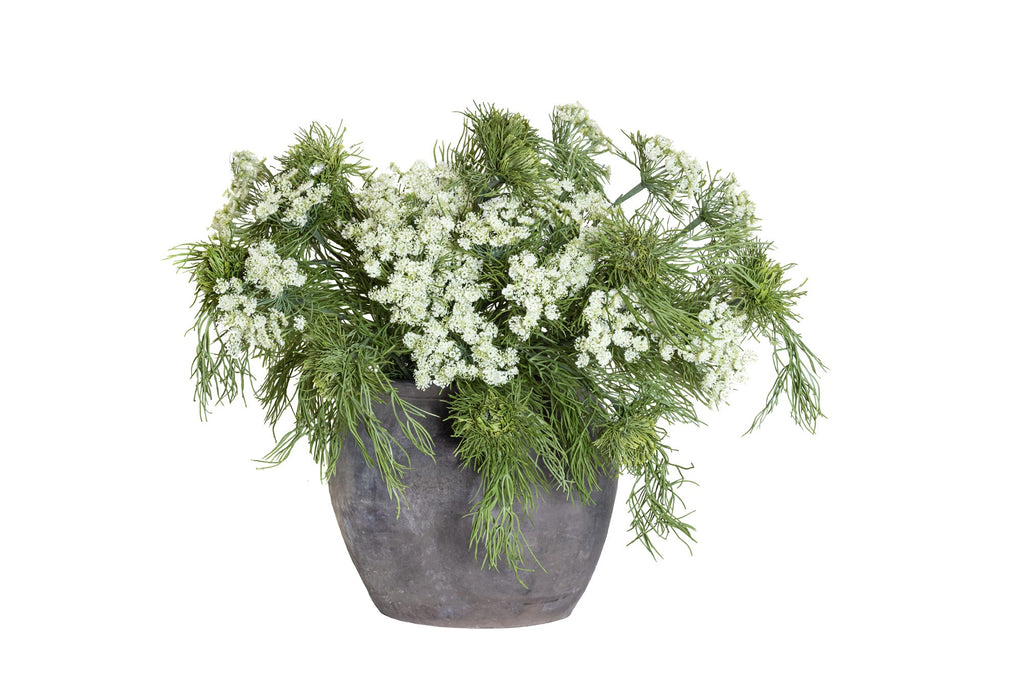 Queen Anne's Lace Arrangement in Vintage Clay Pot