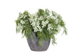 Queen Anne's Lace Arrangement in Vintage Clay Pot