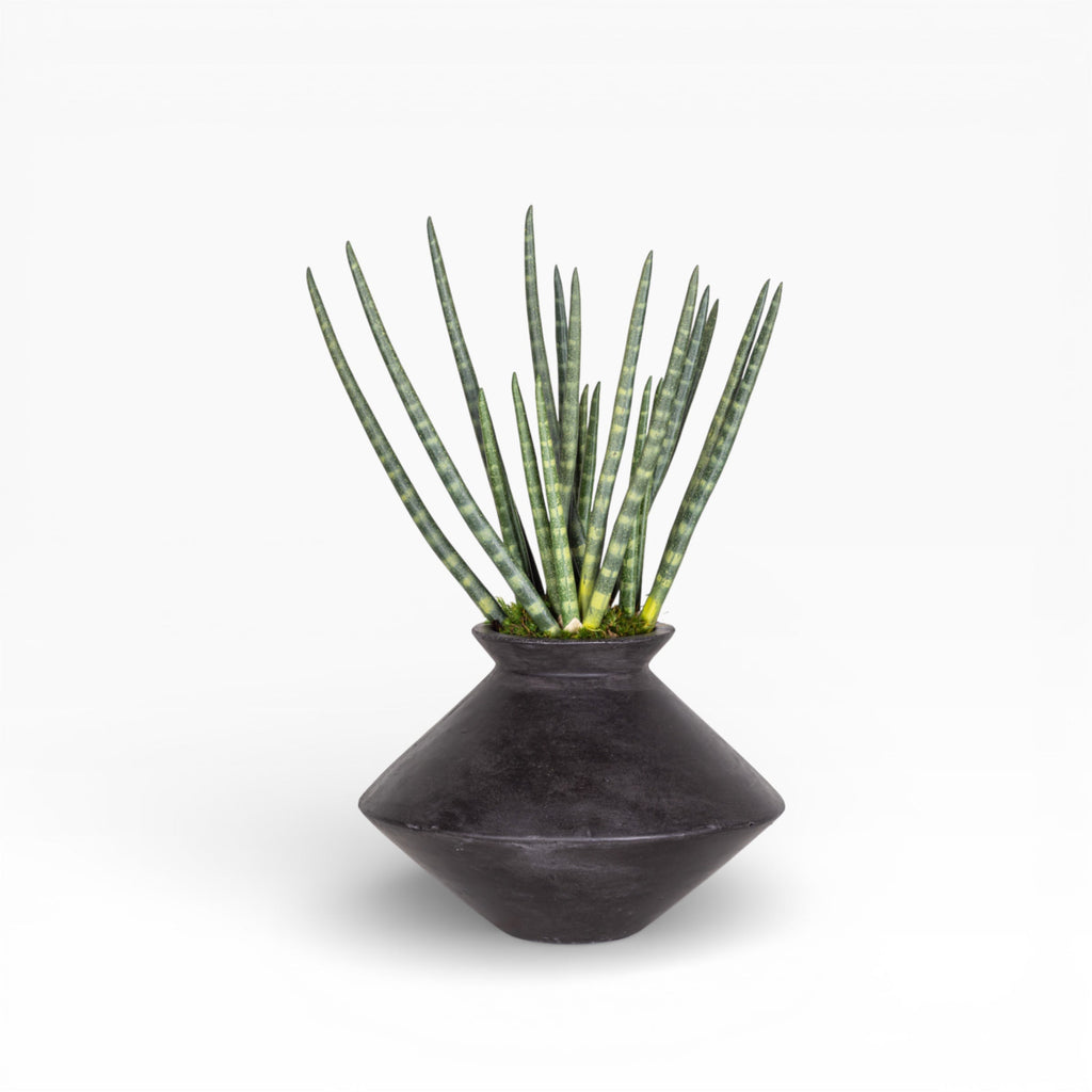 Stanley Vase with Snake Grass Arrangement
