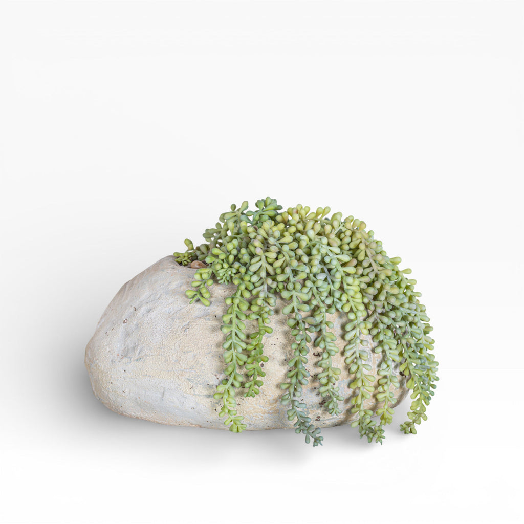 11" Skye Pot with Sedum Arrangement