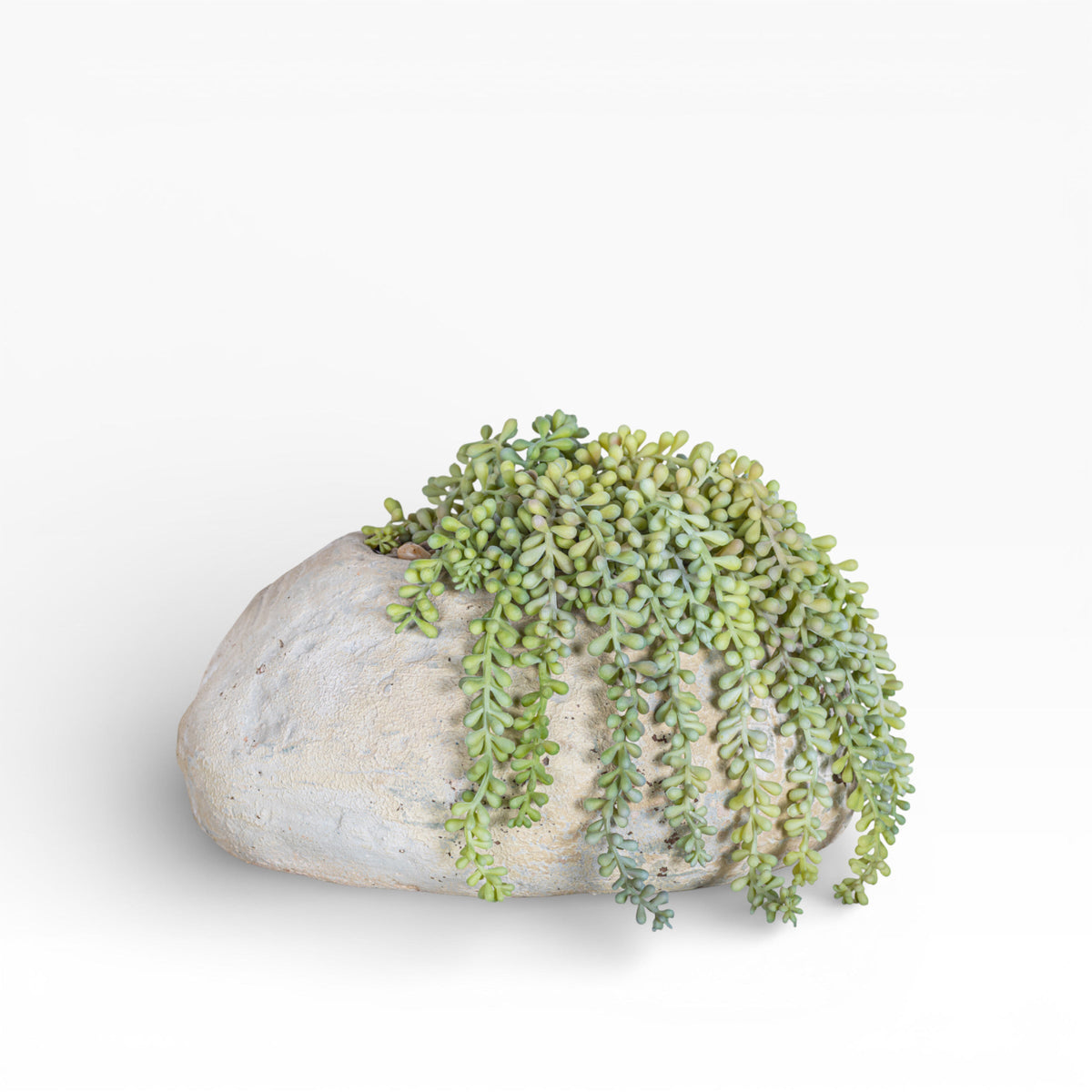 11" Skye Pot with Sedum Arrangement