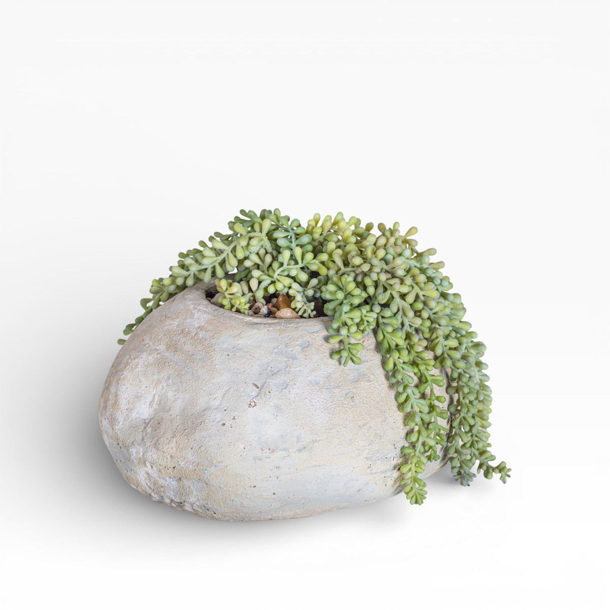 11" Skye Pot with Sedum Arrangement
