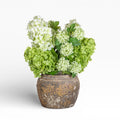 Nyx Pot with Hydrangea Arrangement