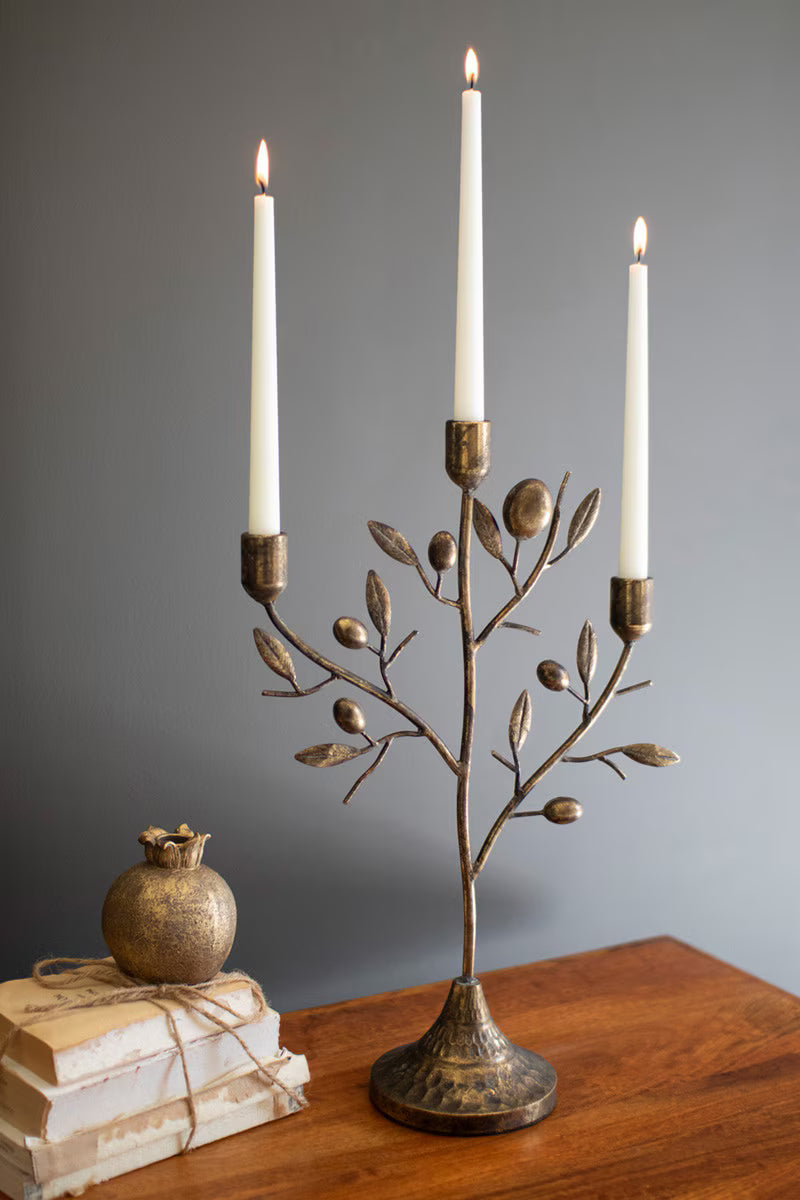 Antique Brass Fruit Tree Taper Candelabra