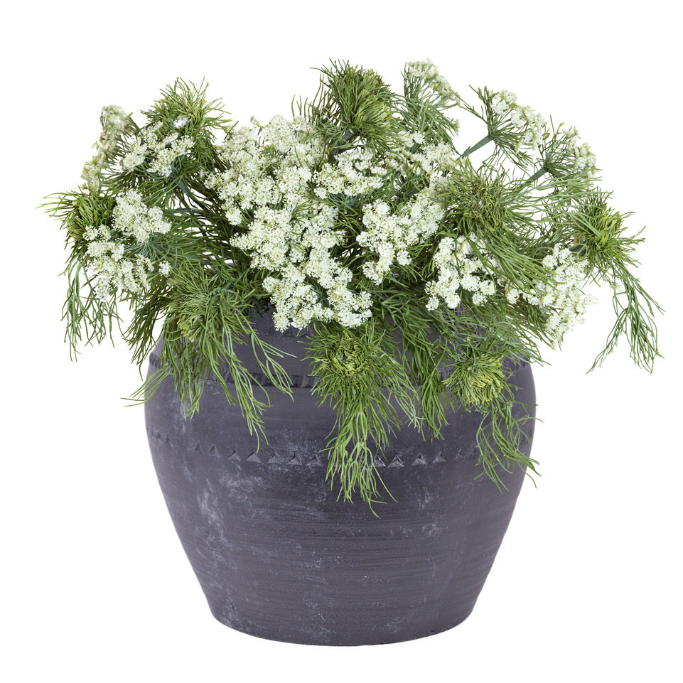 Queen Anne's Lace Arrangement in Vintage Clay Pot