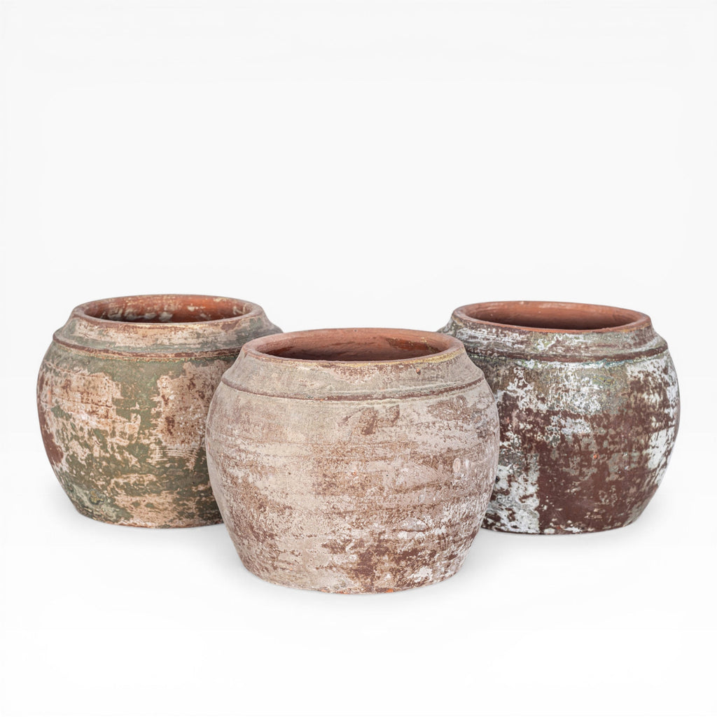 Nyx Pot