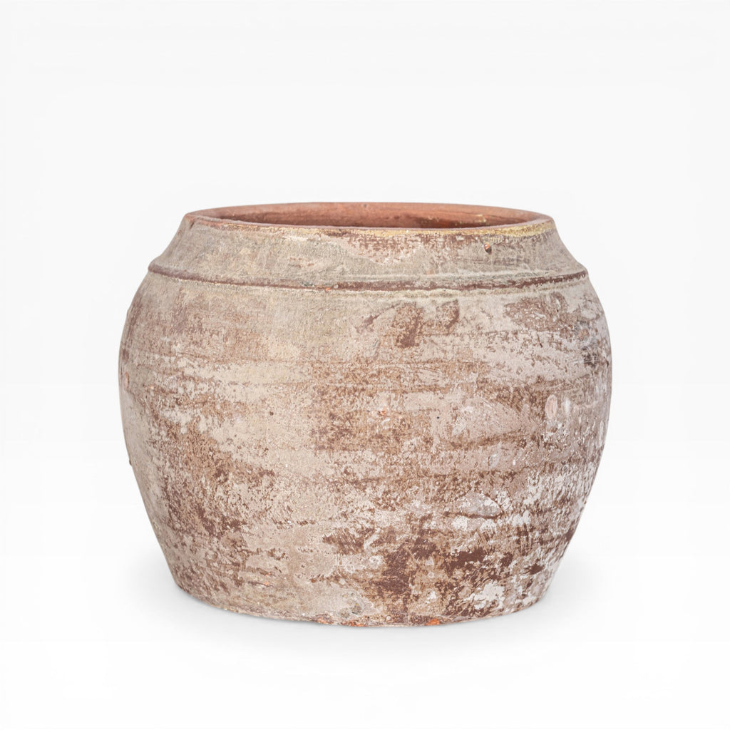 Nyx Pot
