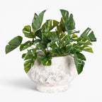Judy Compote Pot, Antique White
