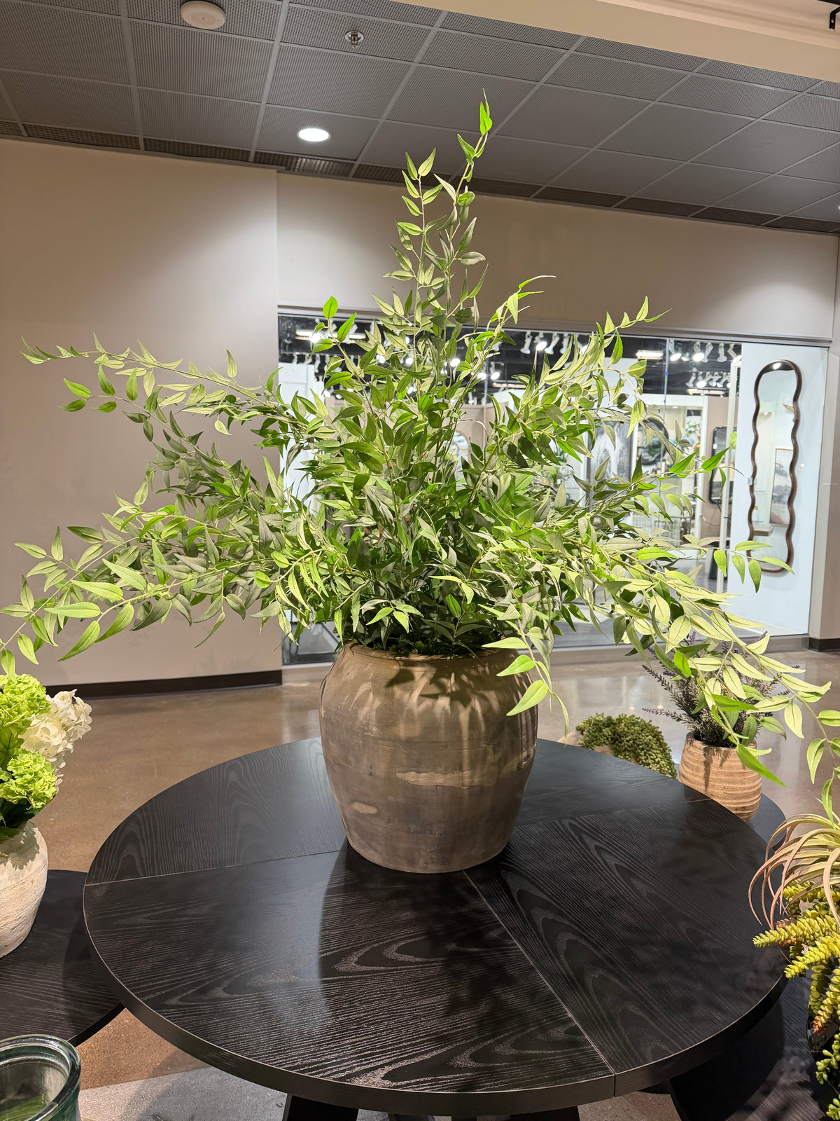 14" Vintage Clay Pot with Italian Ruscus Arrangement