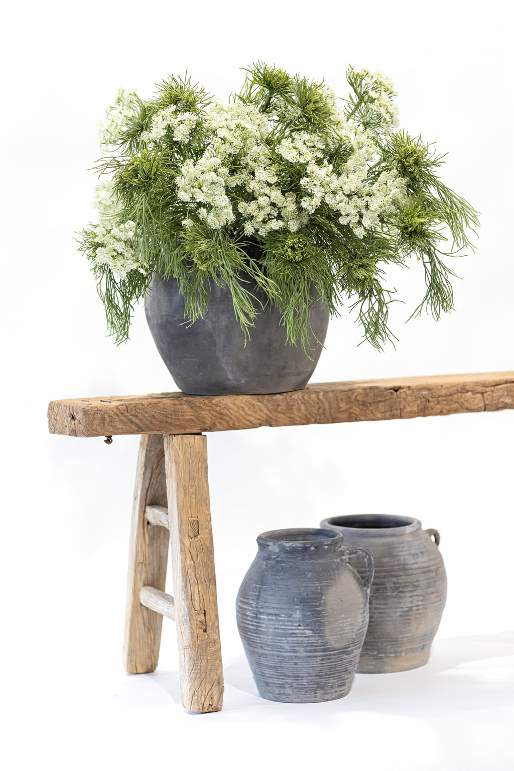 Queen Anne's Lace Arrangement in Vintage Clay Pot