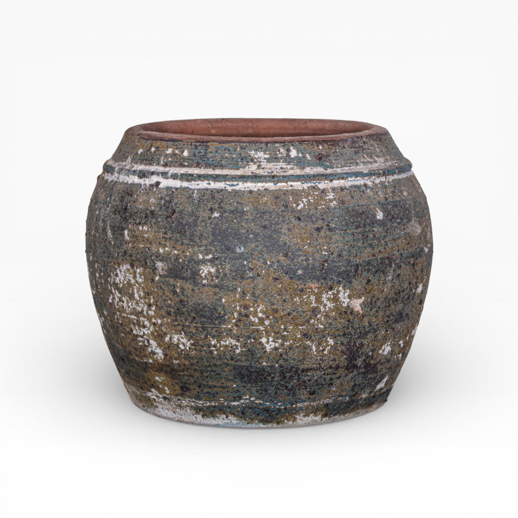 Nyx Pot