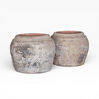 Nyx Pot