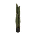 Faux Pachycereus Cactus in Plastic Pot