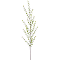56" Myrtle Stem
