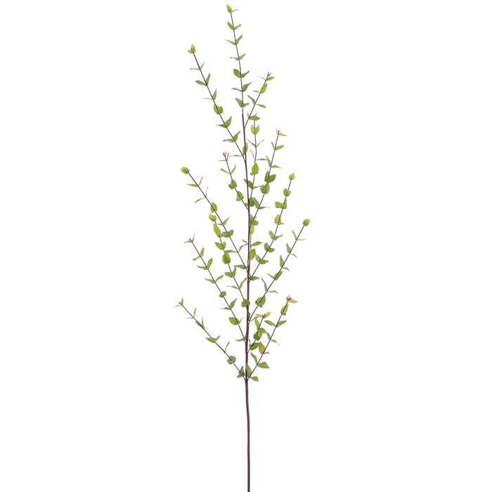 56" Myrtle Stem